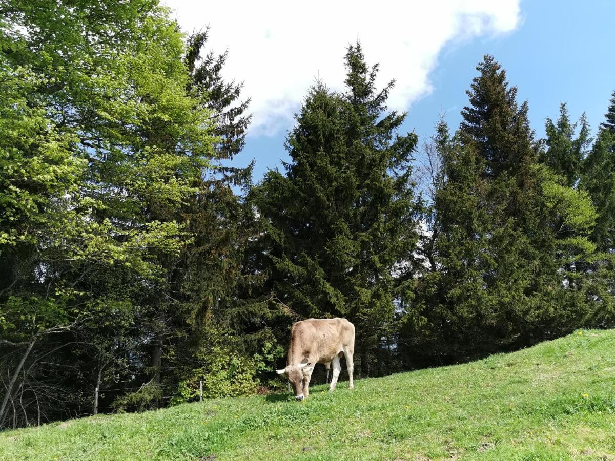 Allgaeuer Ausblick Missen-Wilhams Dış mekan fotoğraf